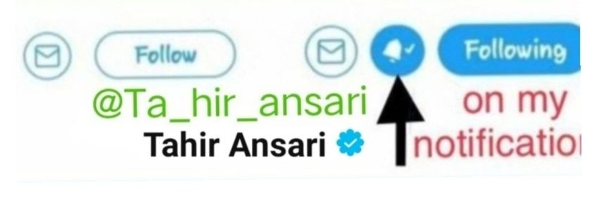 MD ANSARI's banner