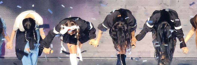 카피바라aka.水豚's banner