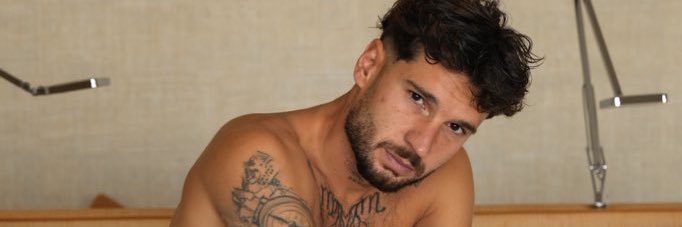 Antvers's banner