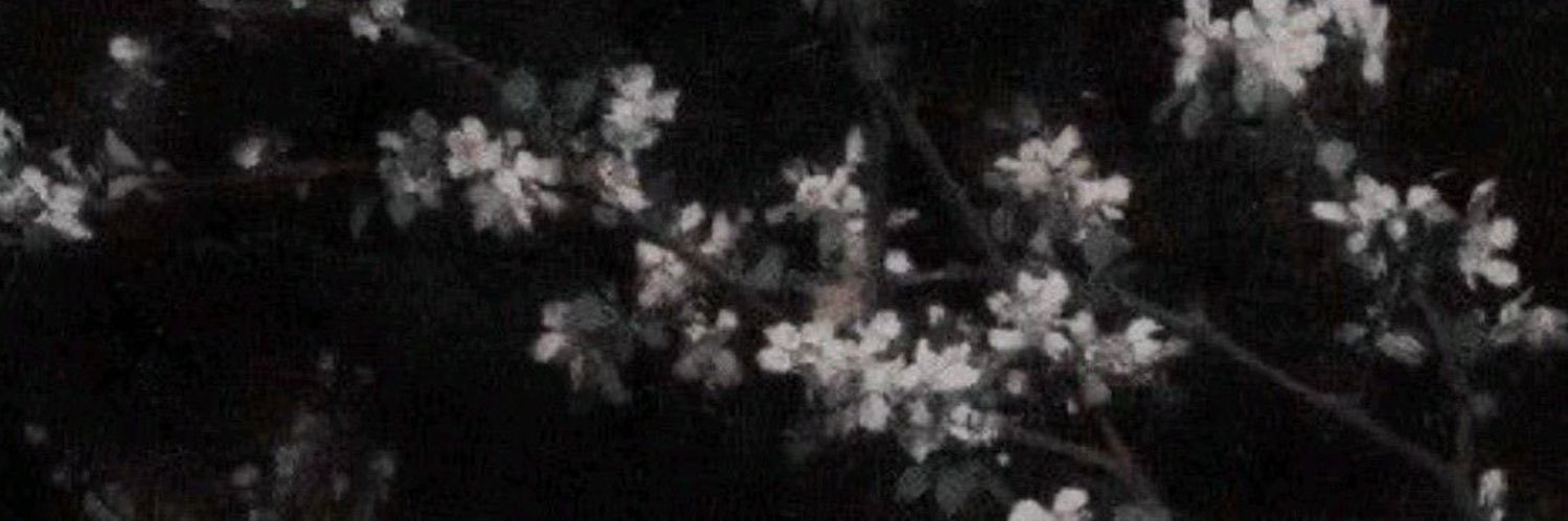 mer's banner