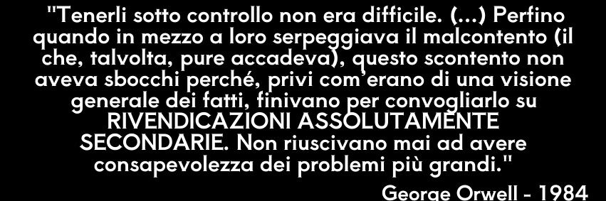 Mattia Lazzarotto's banner