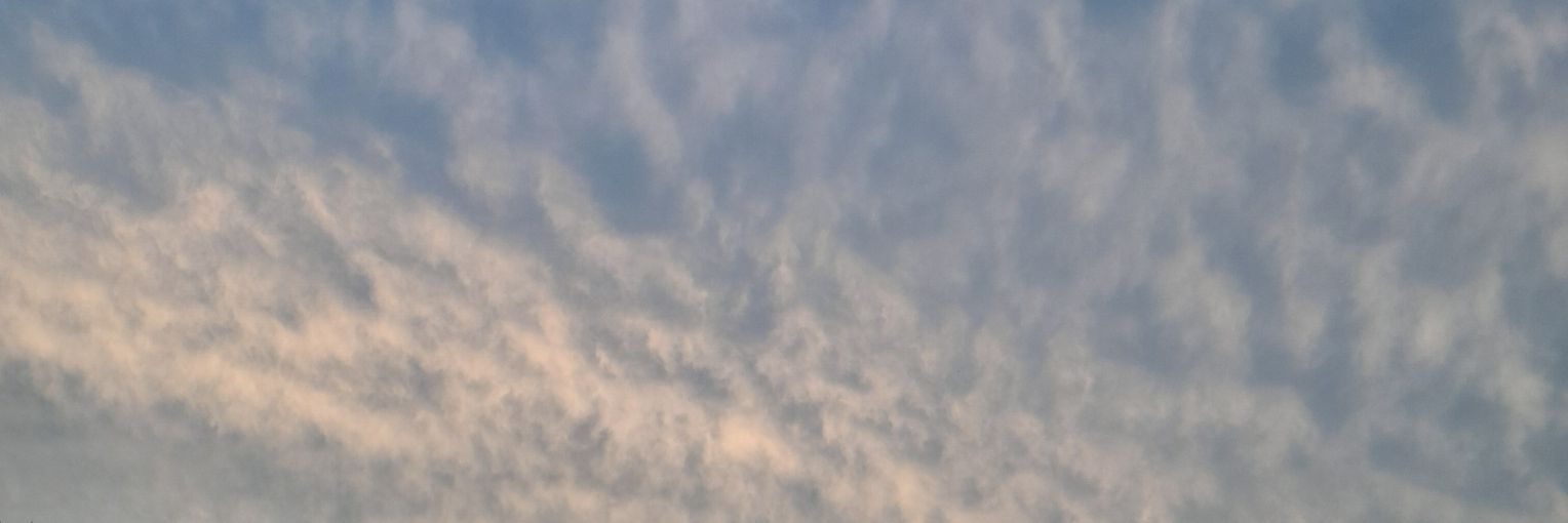 .'s banner