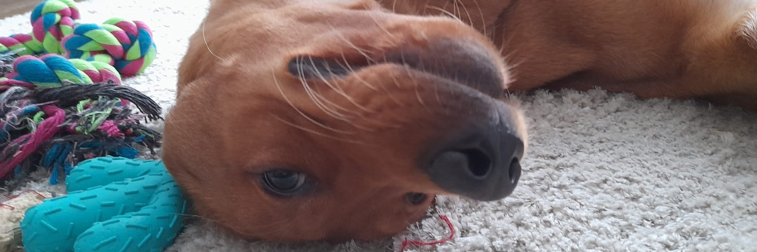 Kăskă (she/her)'s banner
