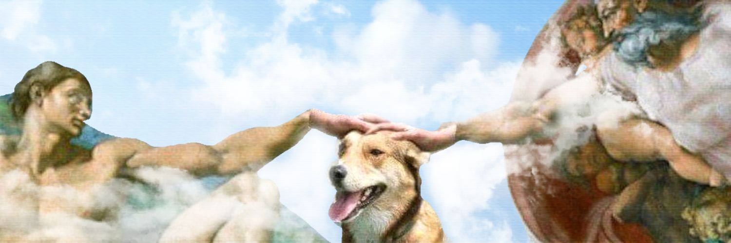 memes sem contexto's banner