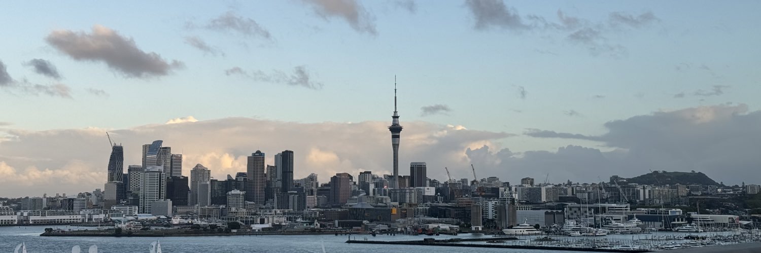 NZLBIGMAC雷凌's banner