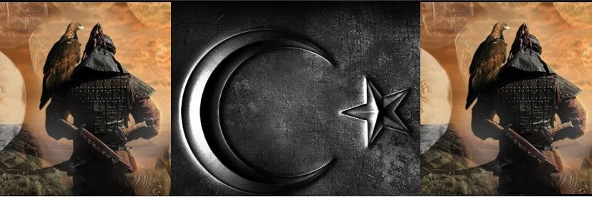 HumanMeta's banner