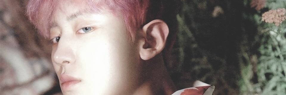 stwofeli🍓's banner