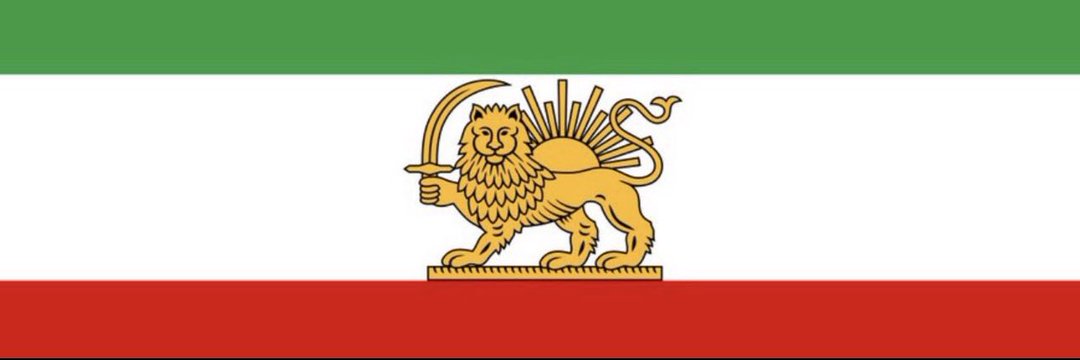 Ray Torabi's banner