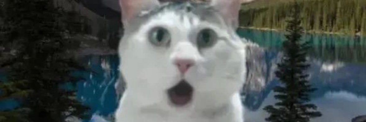 Đào có trái 🍑's banner