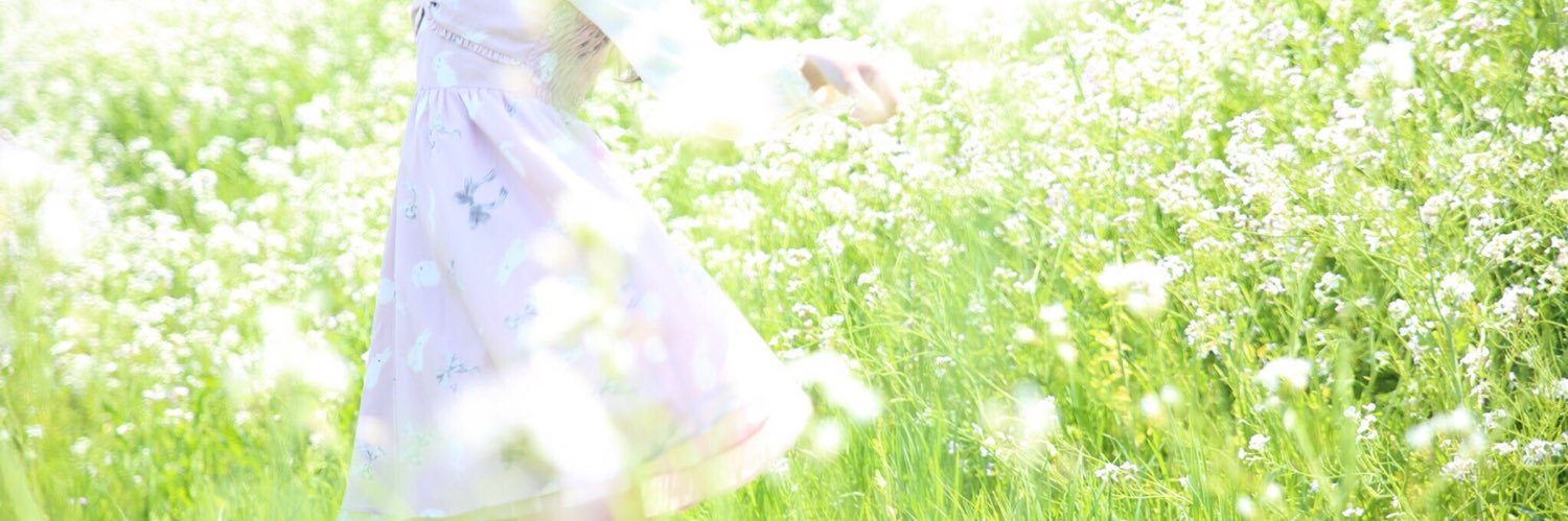 ろあぴ🪽's banner