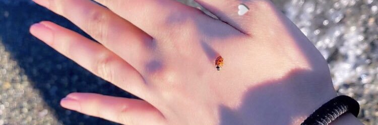 LeyL•'s banner