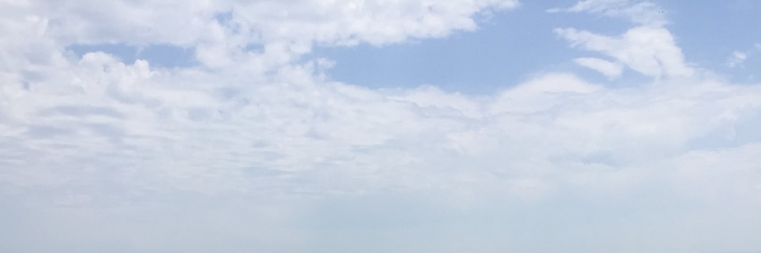 savas kerimoglu's banner