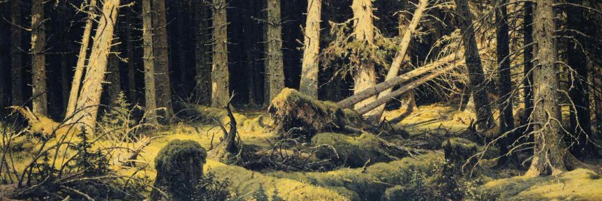 Michał Żmihorski's banner