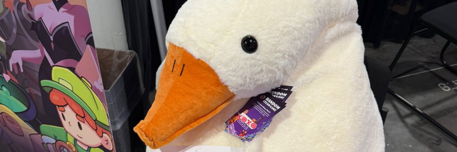 Rogue Duck Türkiye's banner