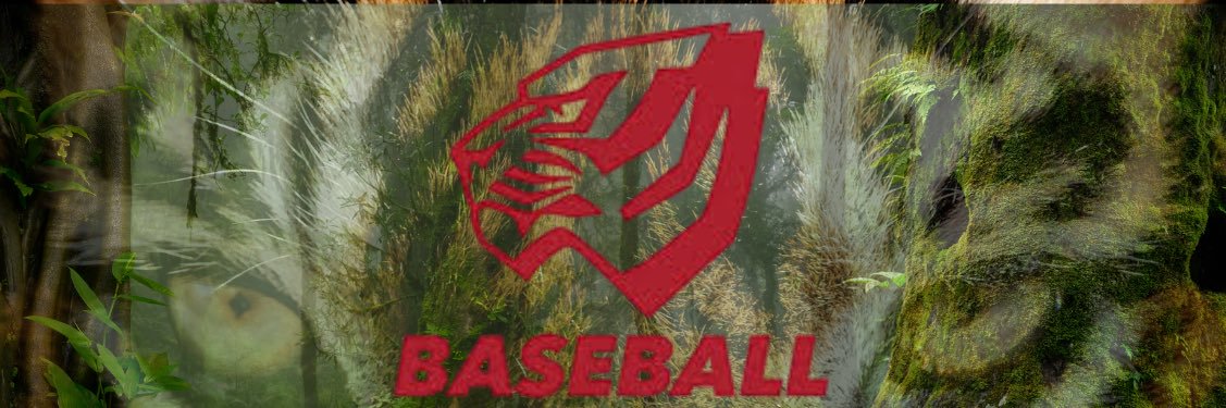 Collin Scott's banner