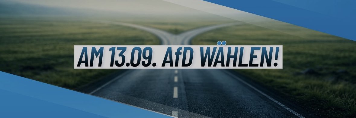 AfD Kreisverband Lüneburg's banner