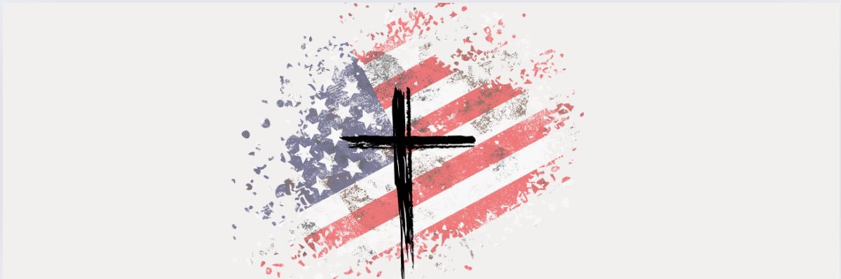 Sarcastic Liberty 🇺🇸's banner