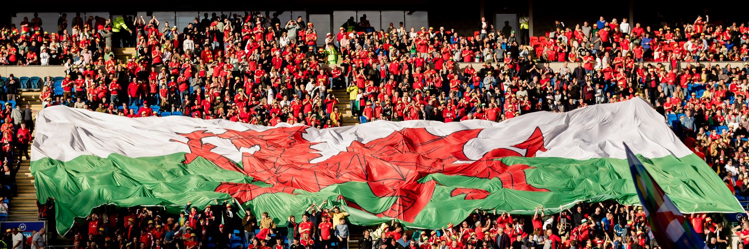 FA WALES's banner