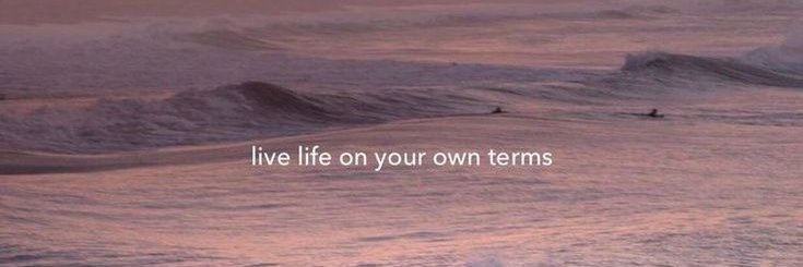 Chia 𓆚's banner
