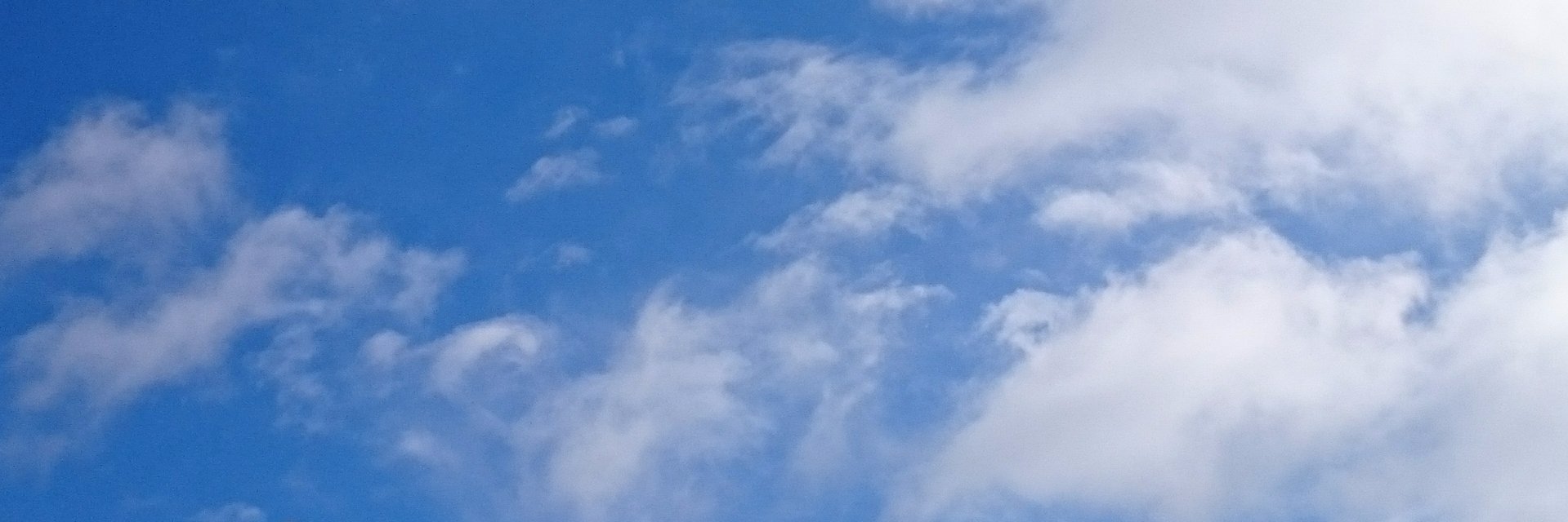 干し松茸@1113工房's banner