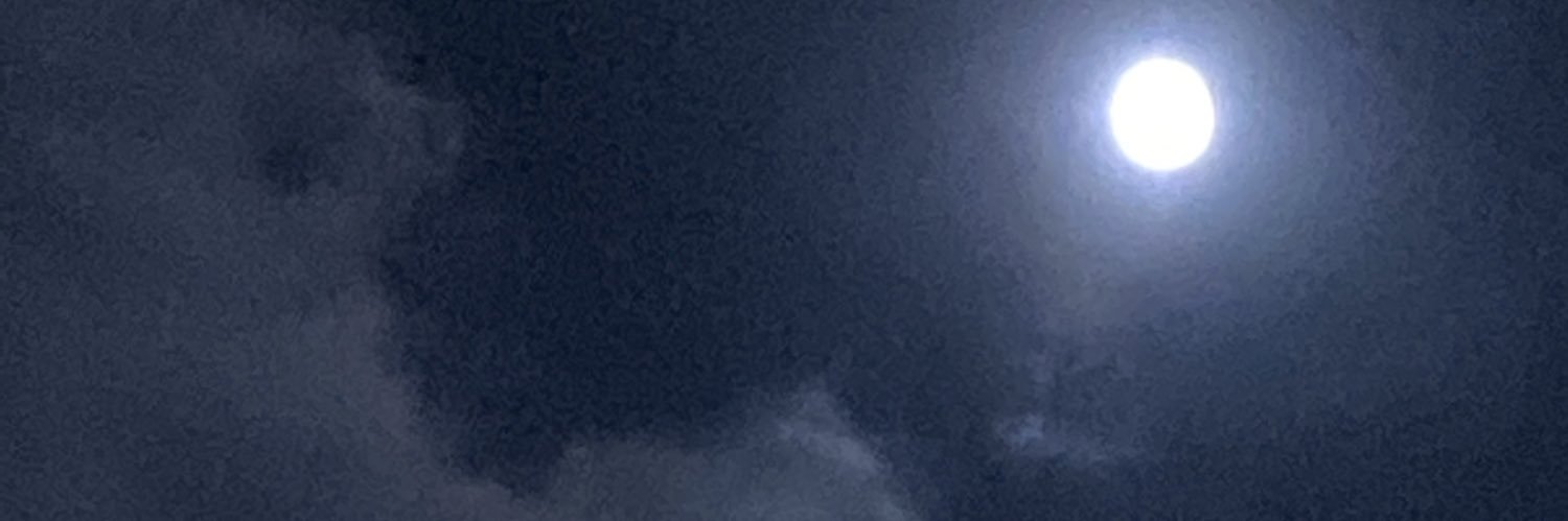 尾崎雄貴 (Galileo Galilei🐋/Warbear🧸/BBHF🌕/)'s banner