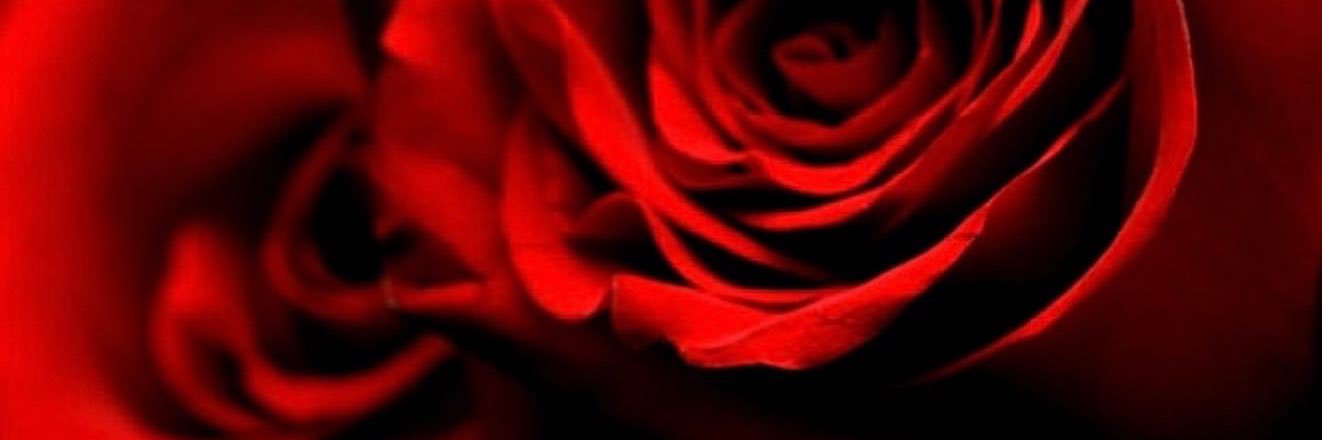 SIR🥀💫's banner