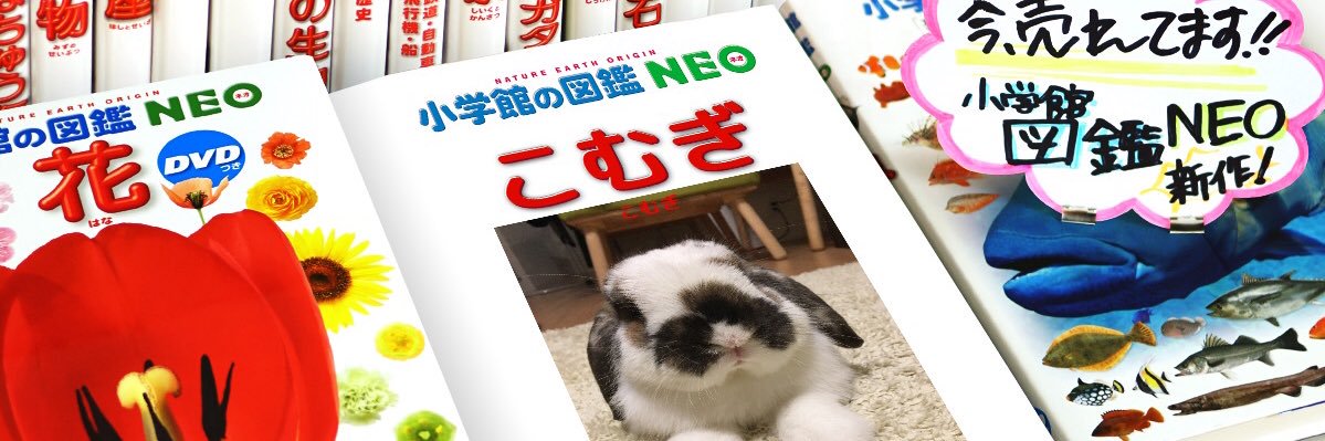 おもち's banner