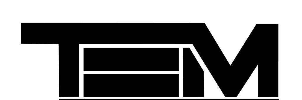 TEM PRESENTS's banner