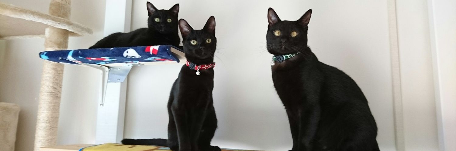 ほたりん☆黒猫戦隊の母's banner