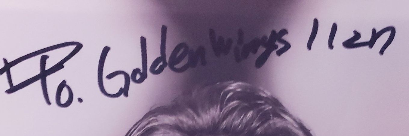 GOLDENWINGS1127's banner