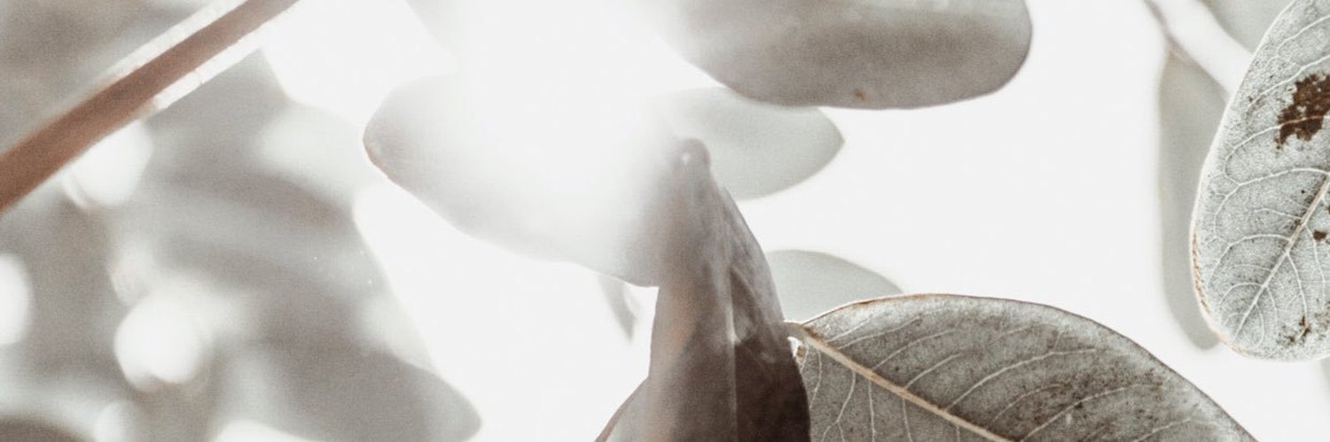 منــُيرة ♡.'s banner