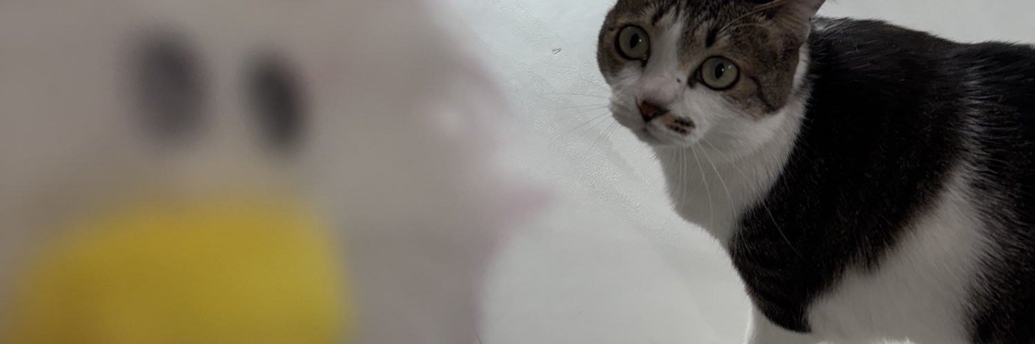 ma's banner
