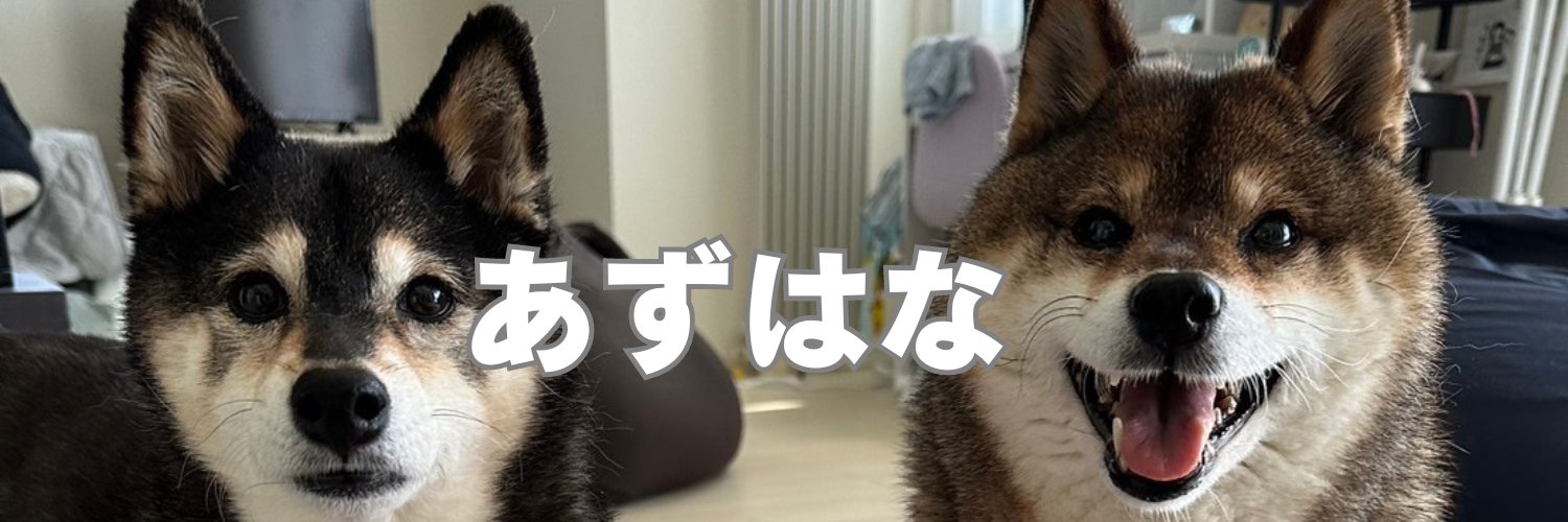 あずはな/胡麻柴🐻と黒柴🐕とおじさん's banner