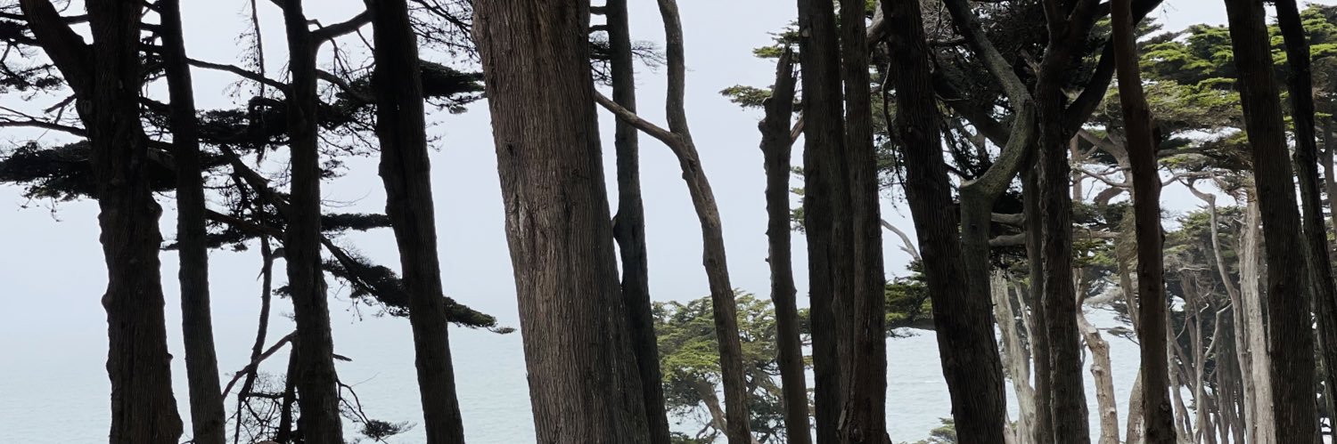 j's banner