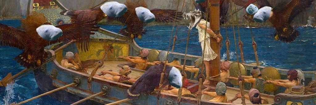 Armin Reindl's banner
