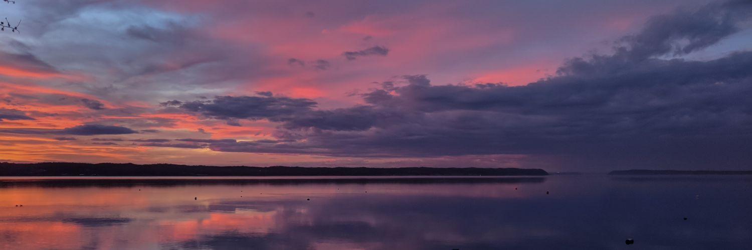 House (he/him)'s banner