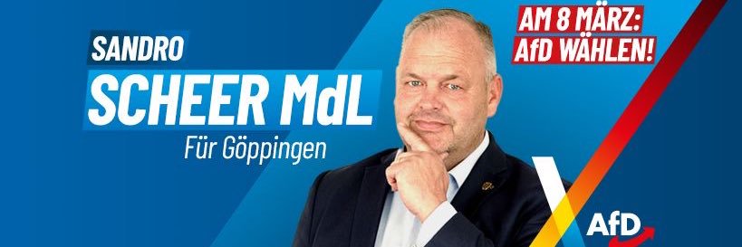 Sandro Scheer MdL's banner