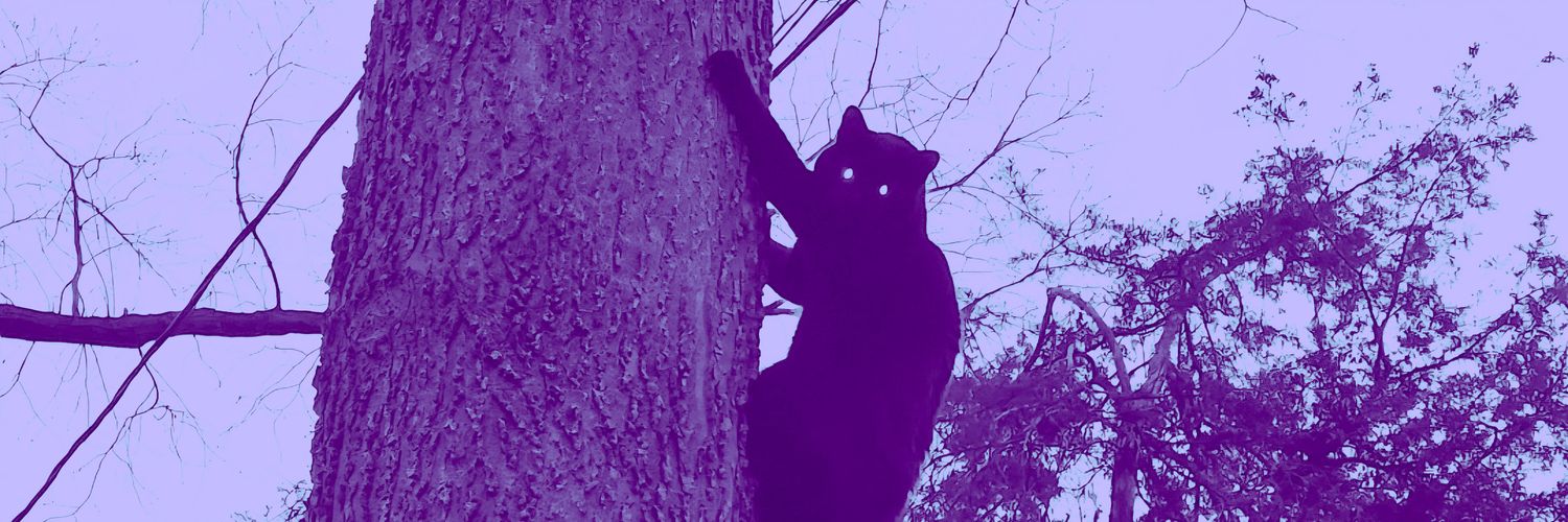 𝓜𝓻. 𝓜𝓪𝓷𝓱𝓪𝓽𝓽𝓪𝓷's banner
