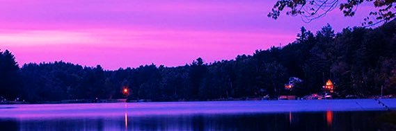 Elitee 999's banner