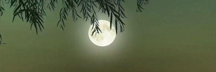 خالد 💚's banner