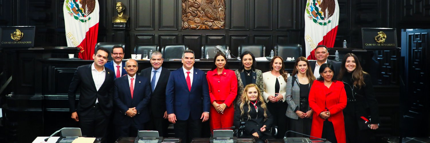 Senado PRI's banner