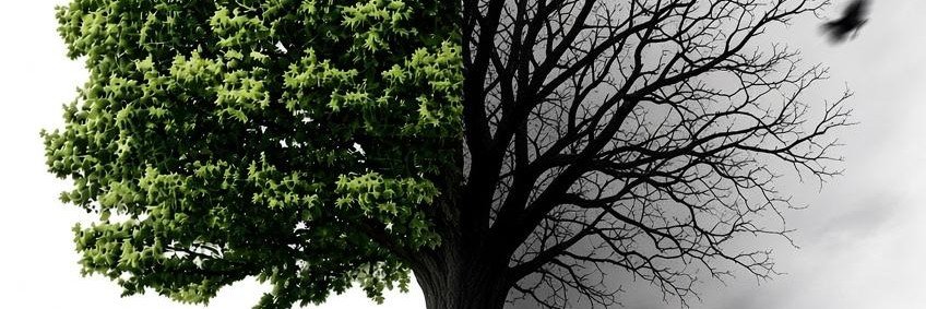 Çₑₜᵢₙ SAĞSÖZ's banner