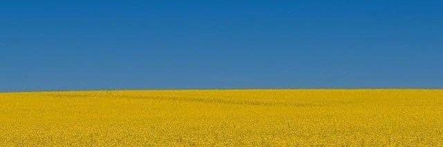 Sarter Stephan's banner