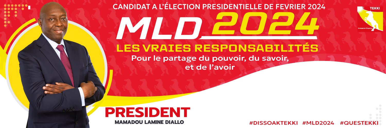 Mamadou Lamine Diallo's banner