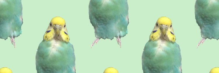 ぽぽちゃんとオカメーズ's banner