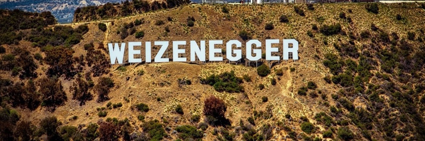 Sven Weizenegger's banner