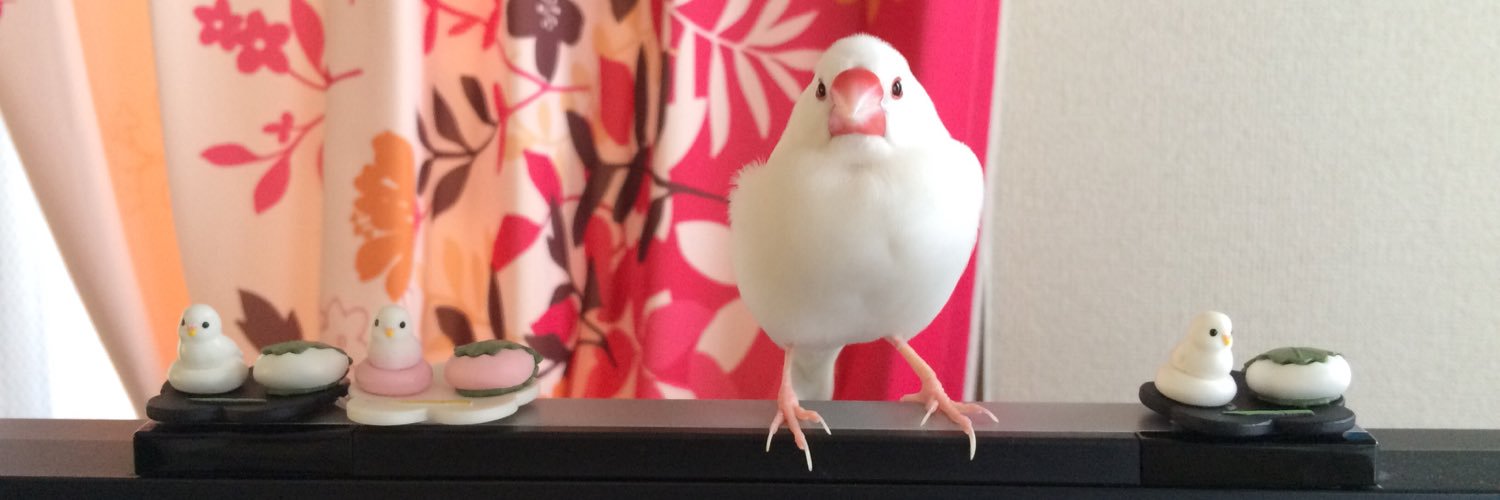 ゆきおくん's banner