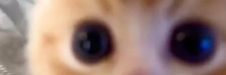 R E N's banner