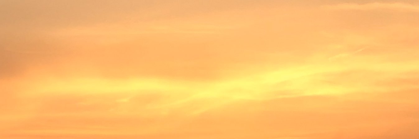 高岸宏行 ティモンディ's banner