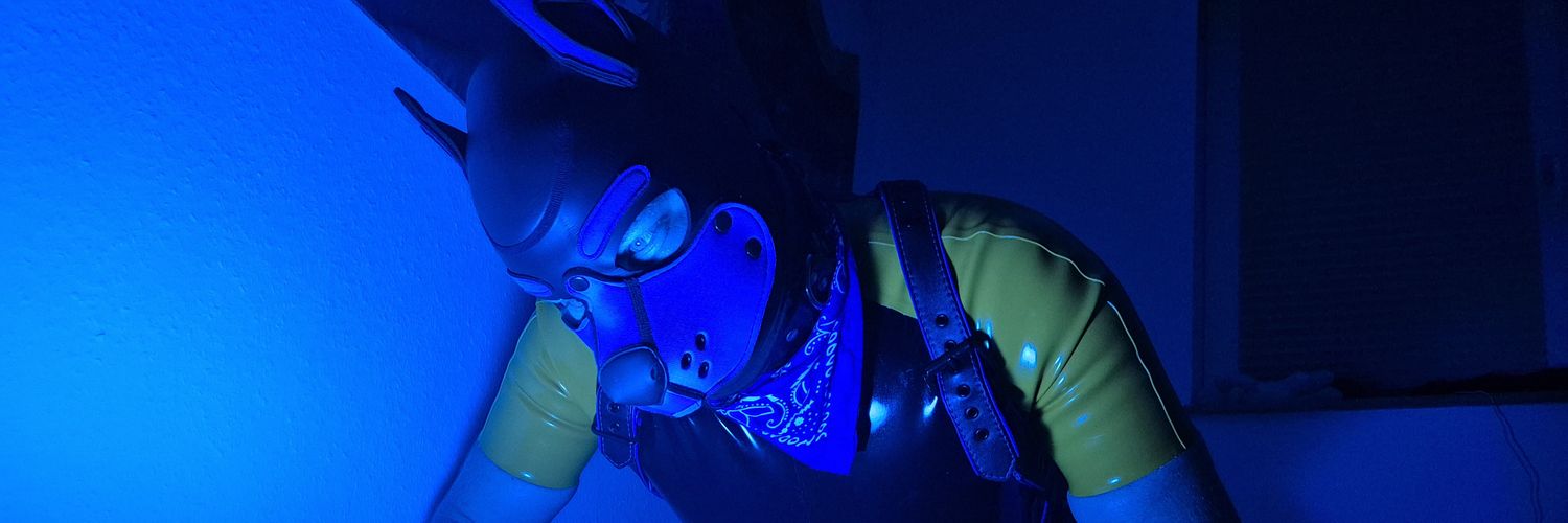 rubber pup blue's banner